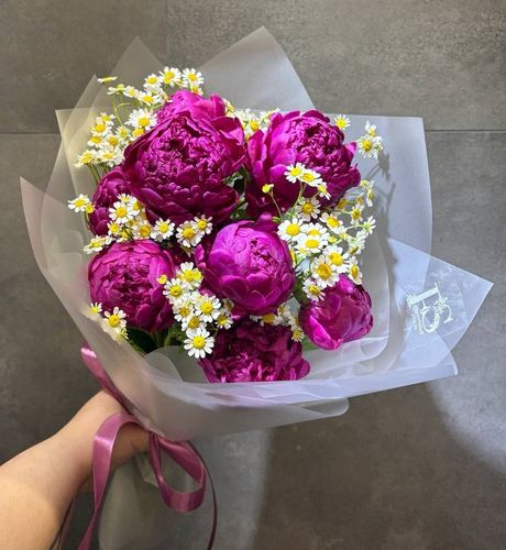 Пионы в саду