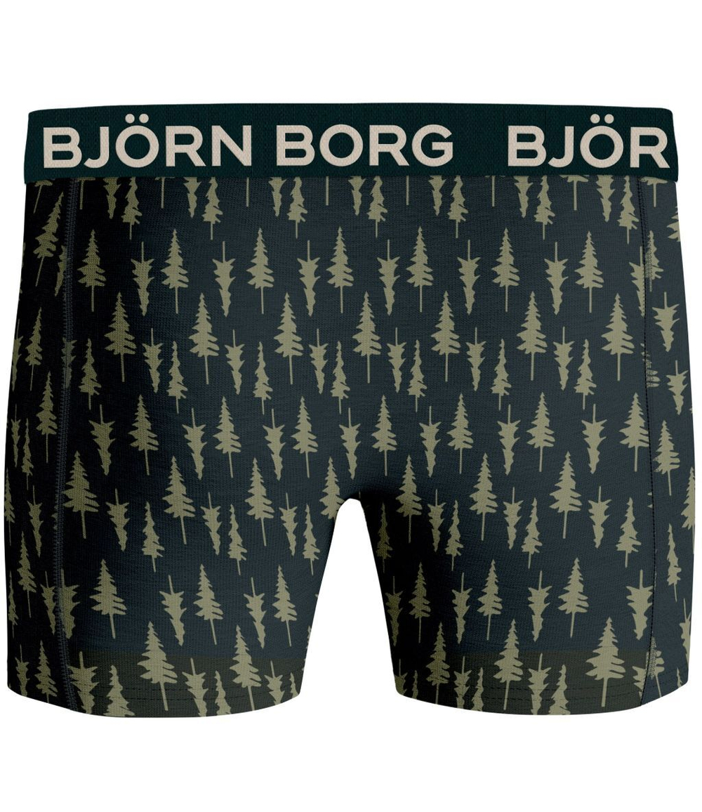 Мужские спортивные боксеры Björn Borg Core Boxer 2P - разноцветный