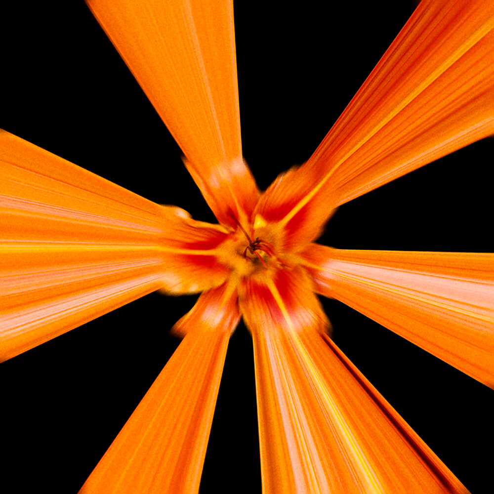 Gruppa Skryptonite / Потеплело (Coloured Vinyl)(LP)