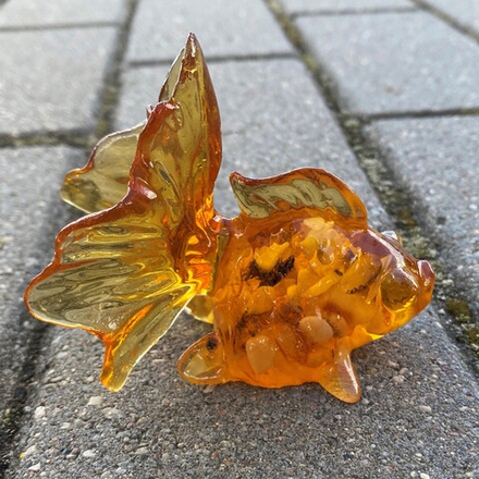 Золотая рыбка-глазастик