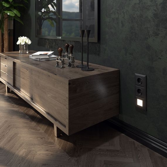 Розетка с заземлением Werkel черный матовый W1171008 4690389156878