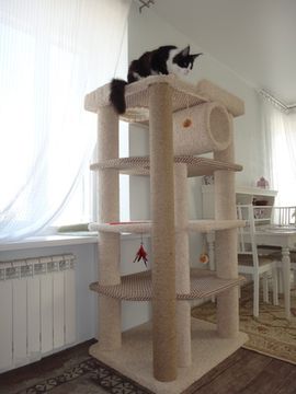 Дом для кота И-258 (мейн-кун)