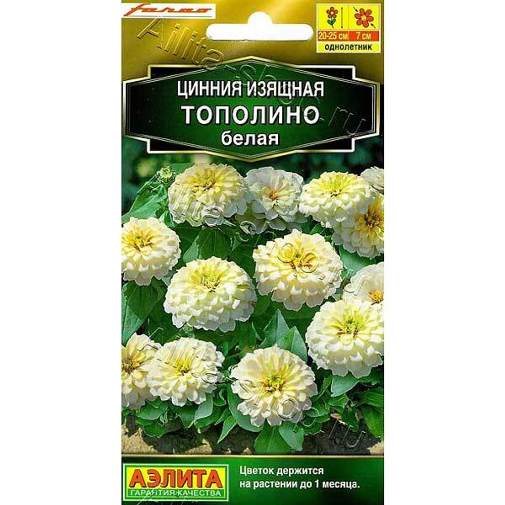 Циния Тополино белая Аэлита Ц