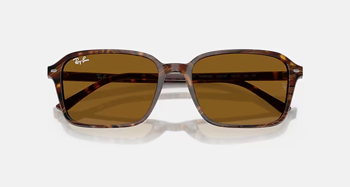 RAY-BAN RAIMOND RB2231 141833