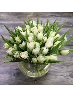 Тюльпаны пионовидные ,луковицы сорт MONDIAL (4 штуки)