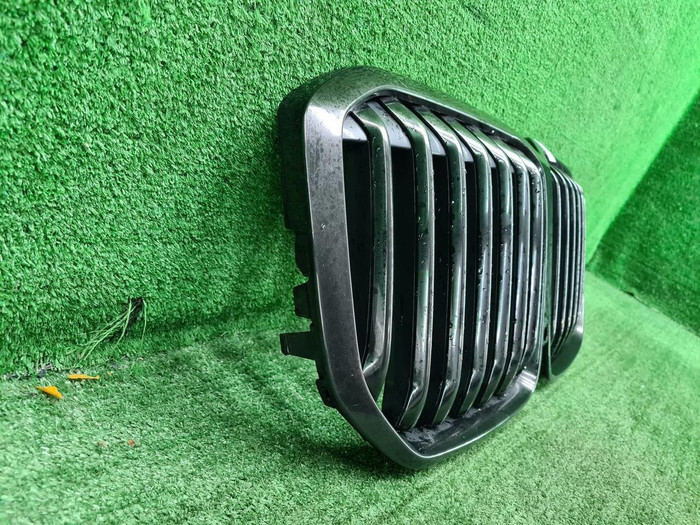 Решетка радиатора BMW X7 G07 (2019-2022)