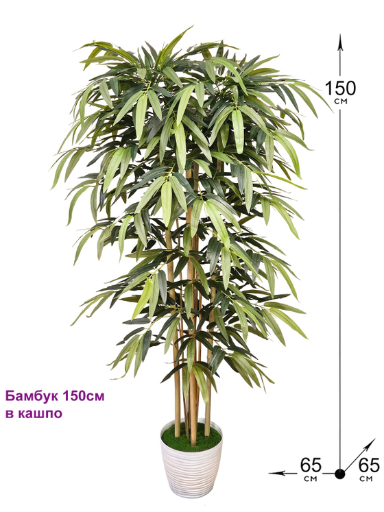 Дерево Бамбук 150см в кашпо