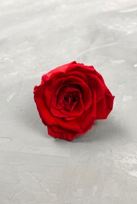 Роза классическая красная d=3,5-4 см