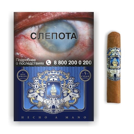 Torres Petit Robusto