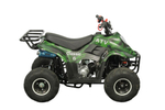 Квадроцикл AVANTIS ATV Classic 6 110cc