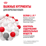 Royal Canin Indoor Sterilized Индор стерилайзд Корм влажный для стерилизованных кошек живущих в помещении желе 85г