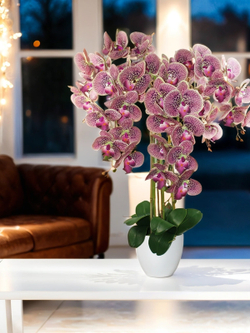 Искусственные Орхидеи 5 веток вишневые 75см в белом кашпо