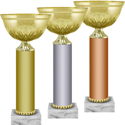 Кубок Рокси