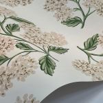 Rifle Paper Co. Second Edition