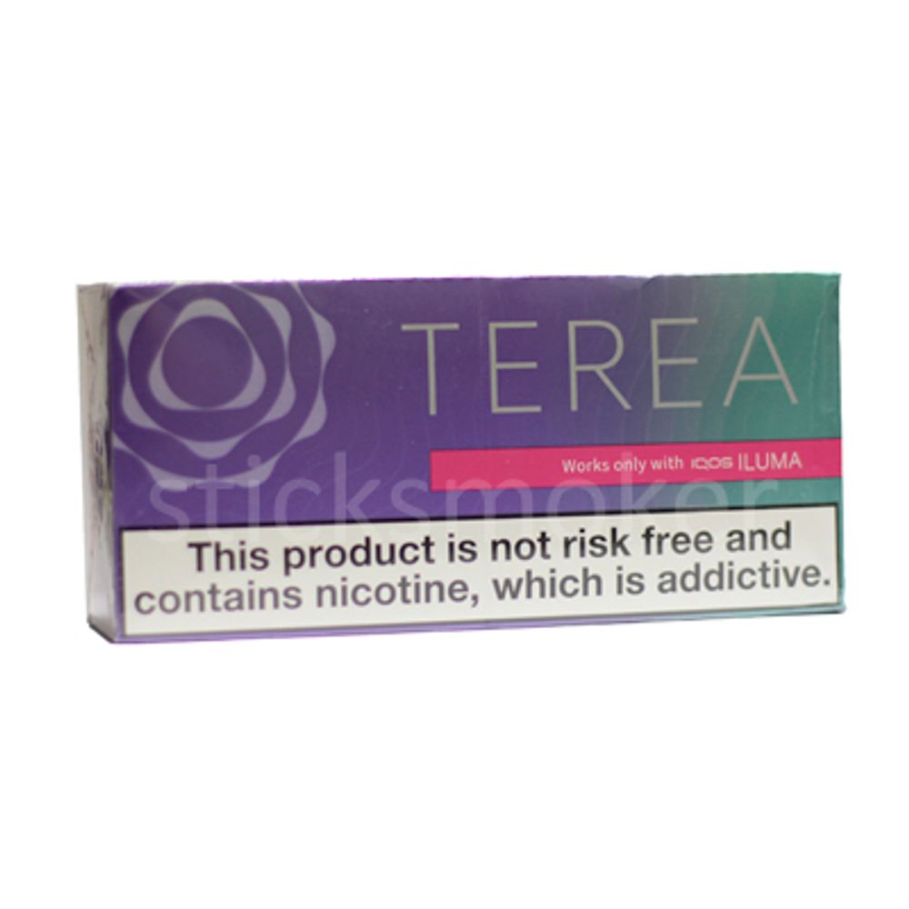 Terea Purple Wave IT