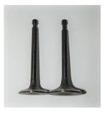 Клапан впускной/выпуской (комплект,2 шт )GX390/Valve kit