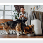 Умная кормушка для кошек и собак Petoneer Nutri