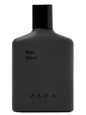 Zara Man Silver