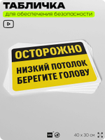 Табличка для обеспечения безопасности "Осторожно, низкий потолок, берегите голову", для офиса, по охране труда для предприятия, организаций, 40х30 см, Silver Plane x Айдентика Технолоджи