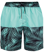 Мужские шорты для плавания с принтом в виде пальмовых листьев Doreanse (Размер: S) (Цвет: салатовый)