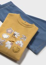 толстовка с брюками