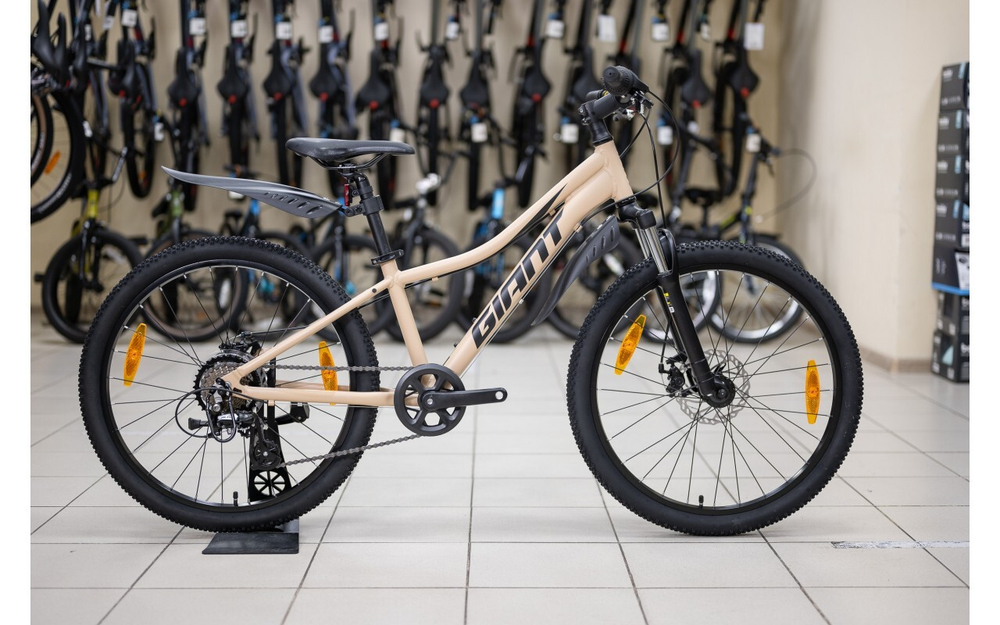 Подростковый велосипед Giant XtC JR Disc 24 (2022)