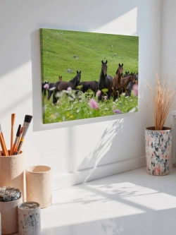 Картина на стену 40 X 50 Стадо лошадей