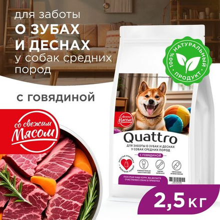 Корм сухой для взрослых собак средних пород, премиум полнорационный комплекс, забота о зубах и деснах, с говядиной, 2,5 кг, QUATTRO