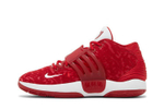 Кроссовки Nike Kd 14 Tb Promo "Gym Red" 14