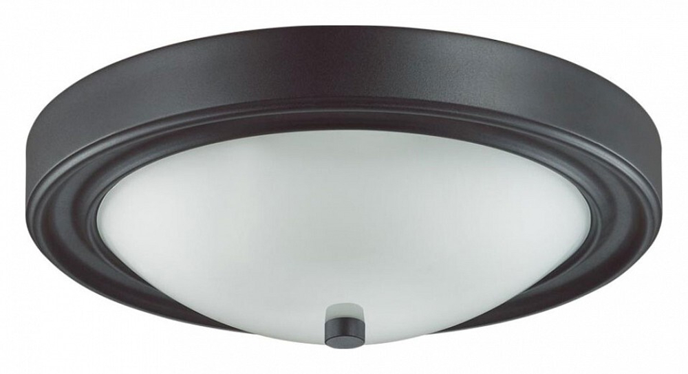 Накладной светильник Lumion 5260/2C