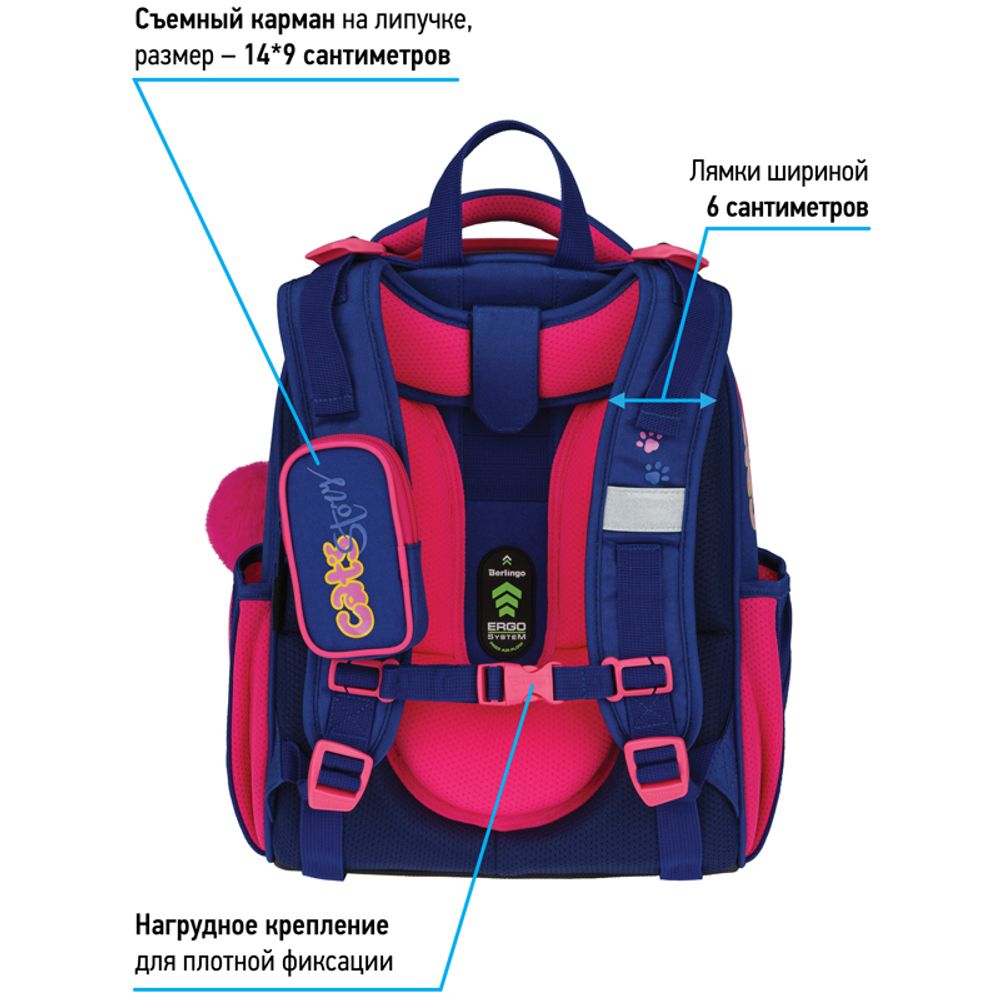 Ранец Berlingo Expert Surprised cat 37х28х16см, 2 отд., с анатомической спинкой