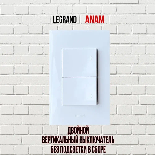 Выключатель Legrand Anam 2-клавишный, без подсветки в сборе
