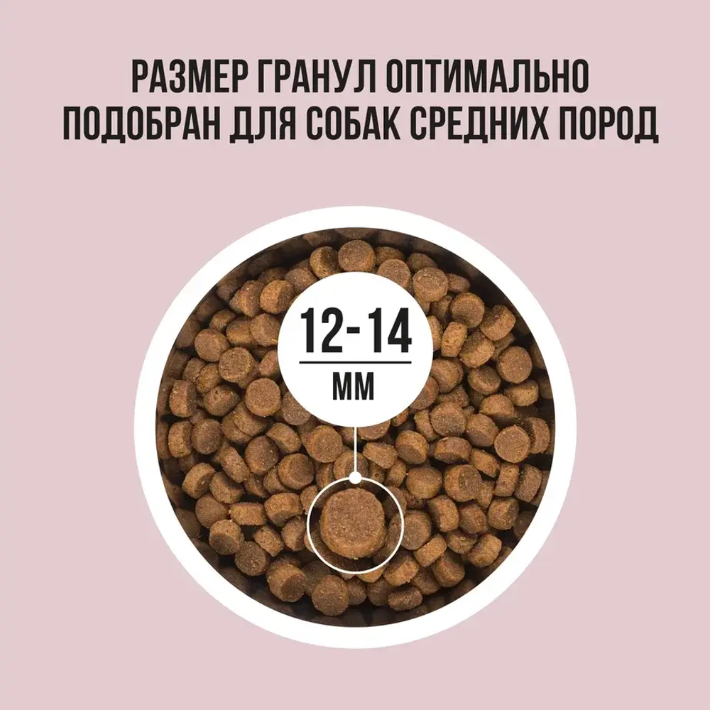 Сухой корм для собак средних пород с индейкой, рисом, яблоком BOWL WOW 5кг