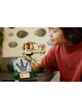 Конструктор Jurassic World 76964 Череп тираннозавра