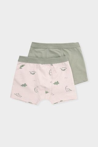 трусы/ уп  для мальчика  К 1980-2уп/оливковый хаки,бежевый,динозаврики