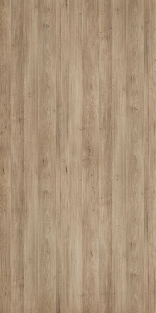 Скандинавская липа