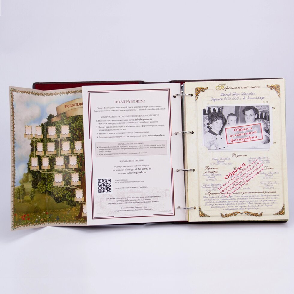 Родословная книга "Классическая" балакрон (в подарочной коробке) РК-01 золото