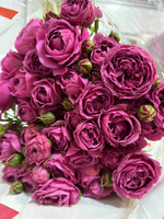 Букет из 11 веточек пионовидной розы