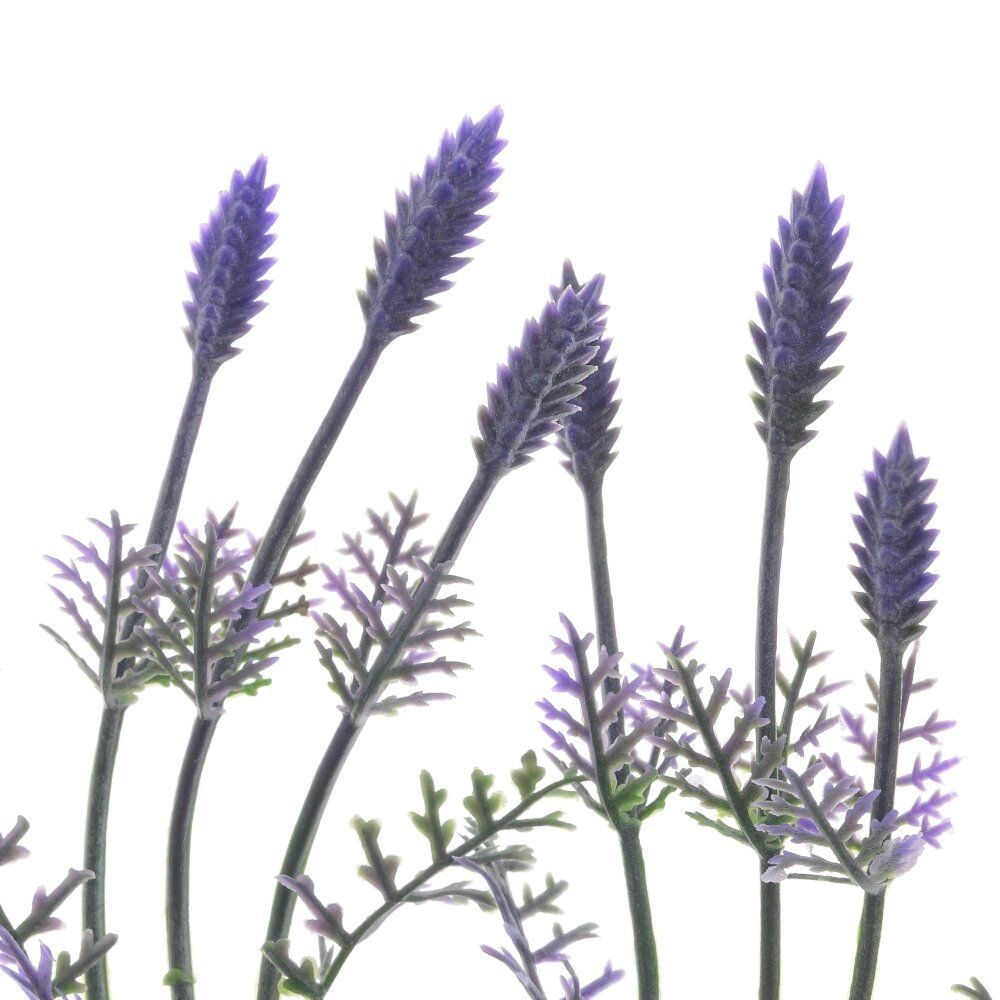 GAEM Цветок искусственный "Амброзия", L10 W10 H40 см, 5в.