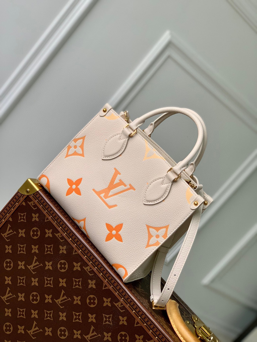 Louis Vuitton OnTheGo PM