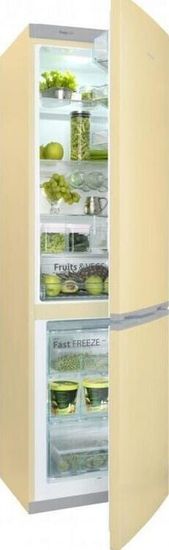 Холодильник Snaige RF58SM-S5DP210