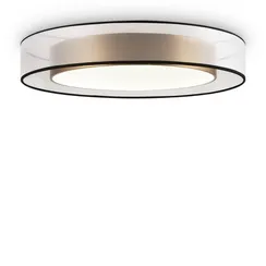 Потолочный светильник Зотикус / Zoticus Freya fr6005cl-l48g