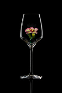 Бокал для белого вина. Орхидея Розовая. Высокая.