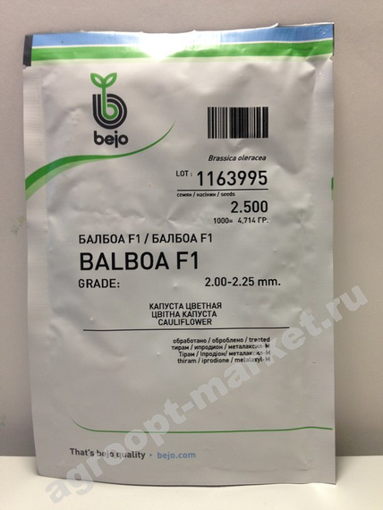 БАЛБОА F1 семена капусты цветной (Bejo | Alexagro) – фото 3