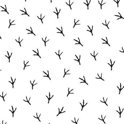 Отпечатки лапок птиц на снегу