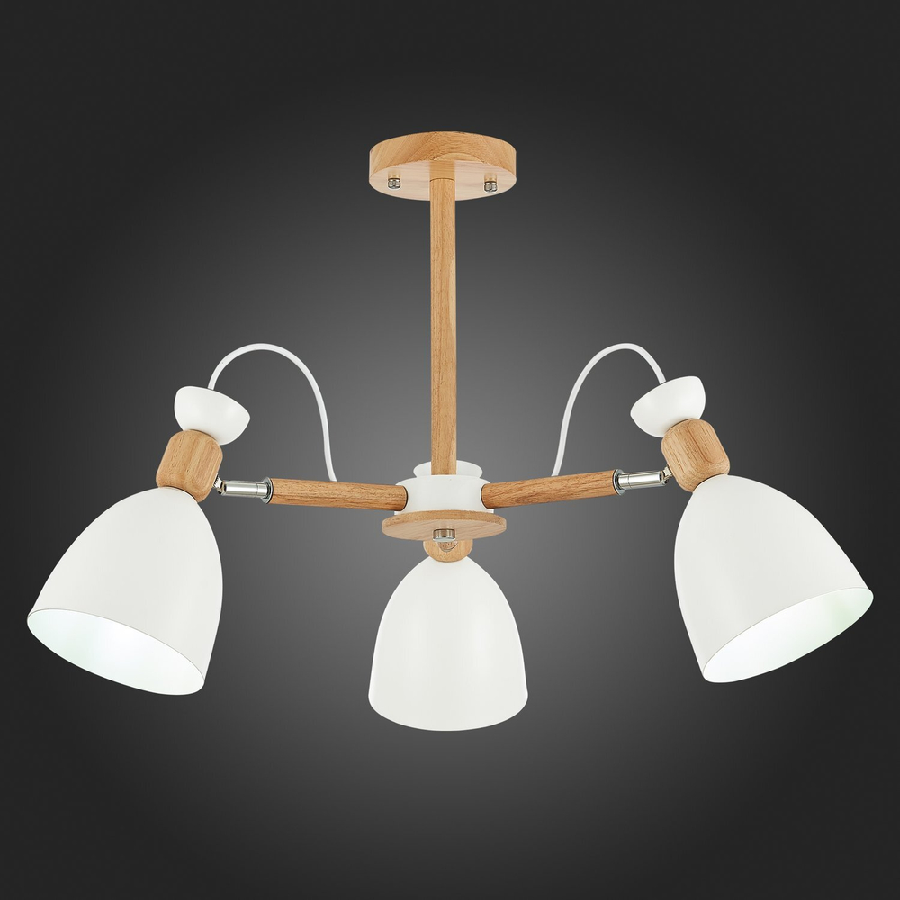 Светильник потолочный Evoluce Balcamo SLE103802-03