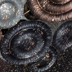 Панно Квазар Объект мечты