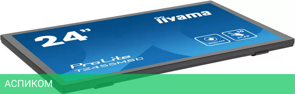 Монитор Iiyama ProLite T2455MSC-B1
