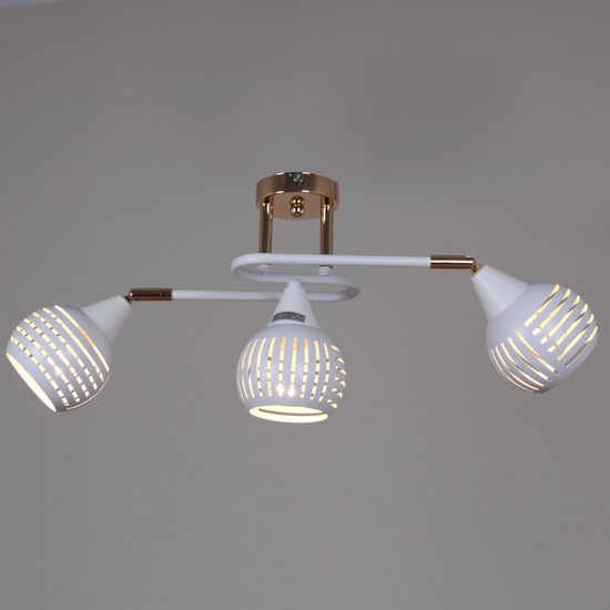 70059-3.3-03 FG+WH светильник потолочный