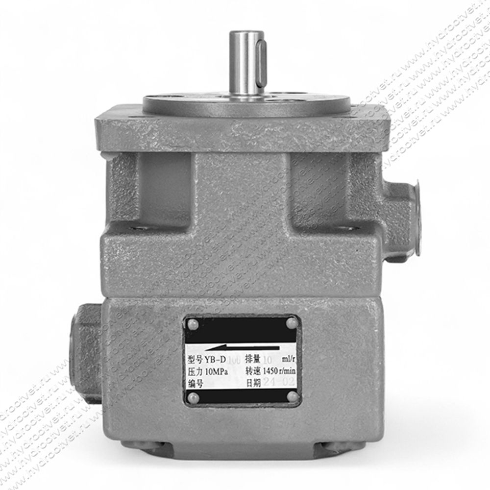 БГ12-41 - Пластинчатый нерегулируемый насос с рабочим объемом 10 см3, 100 бар (YB-D10U)